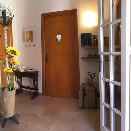 Ncivico19 Lt * オルビア