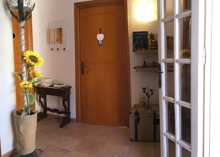 Ncivico19 Lt * Olbia